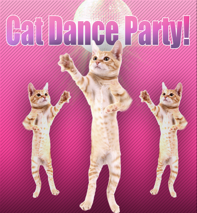 Cat Dance Party